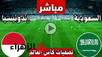 مباشر الآن.. متابعة لحظية لنتيجة وأهداف مباراة السعودية وإندونيسيا 1